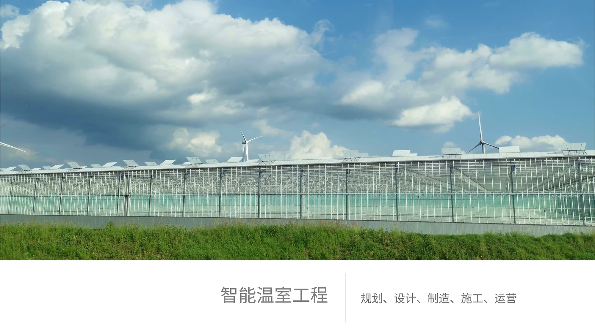 解决方案展示图片 1