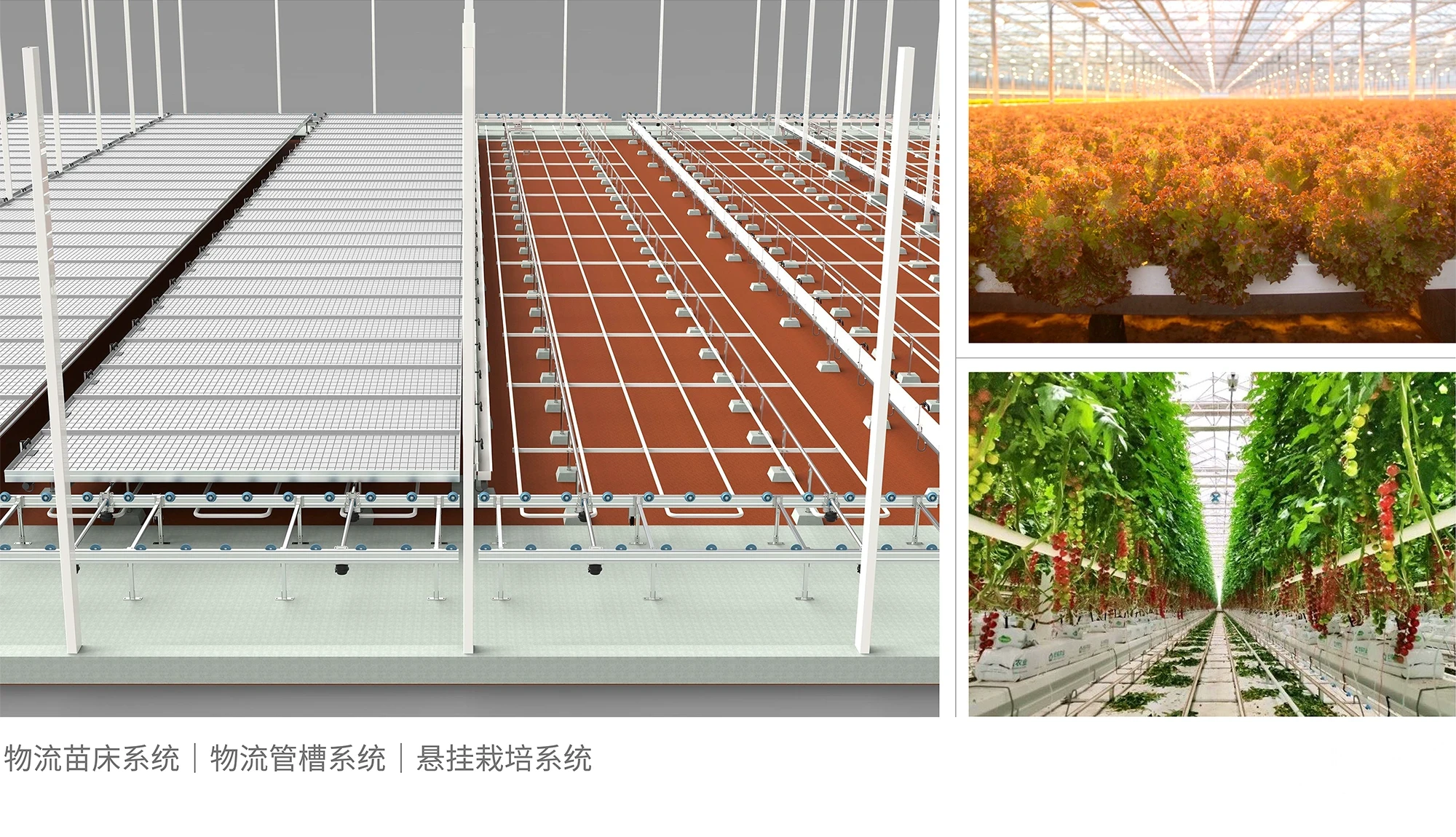 解决方案展示图片 3